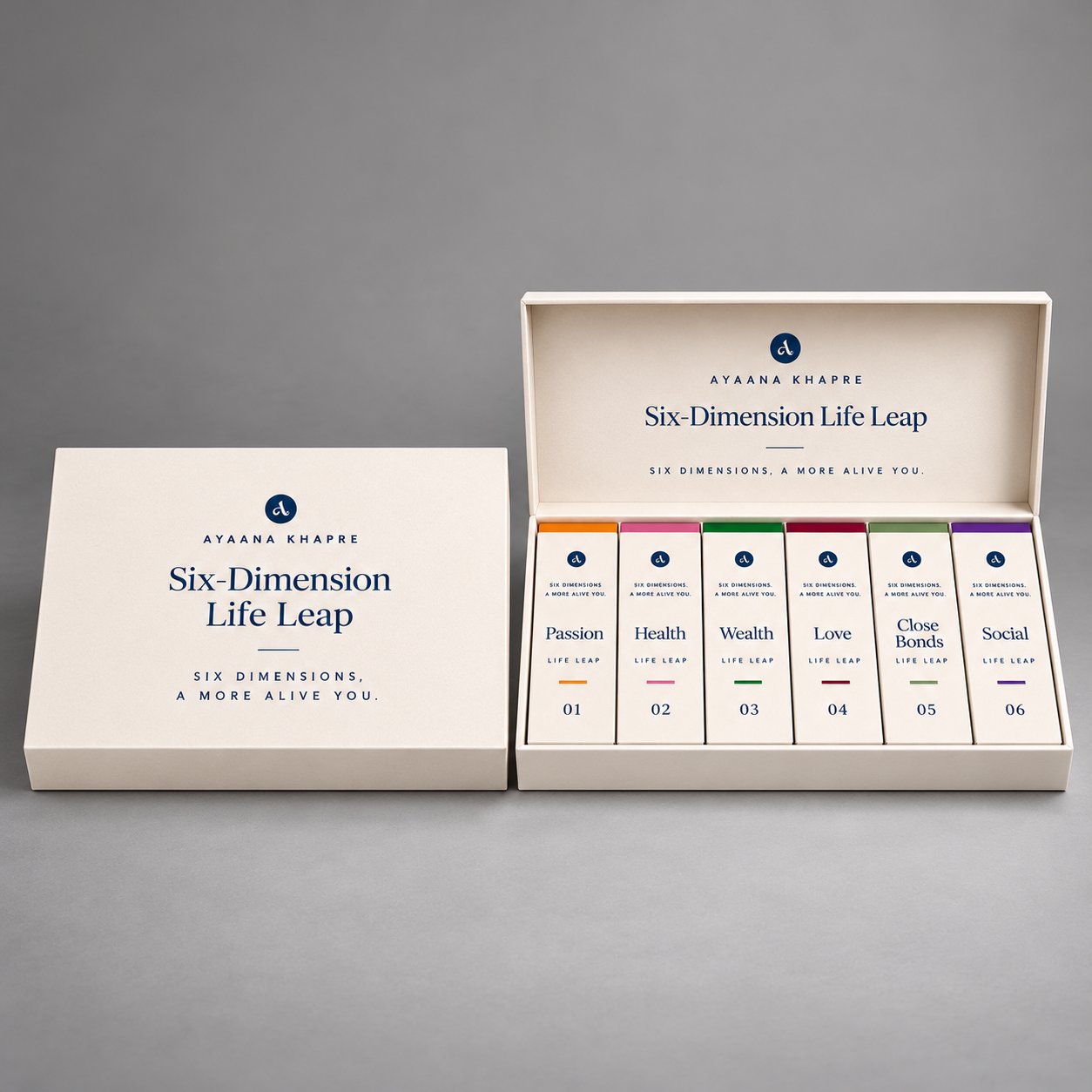 Complete Six-Dimension Life Leap presentation set with all six dimension books